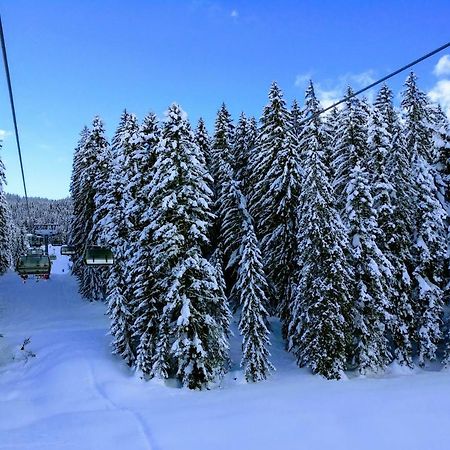 Pension Edelweiss Top 25 Gosau Buitenkant foto