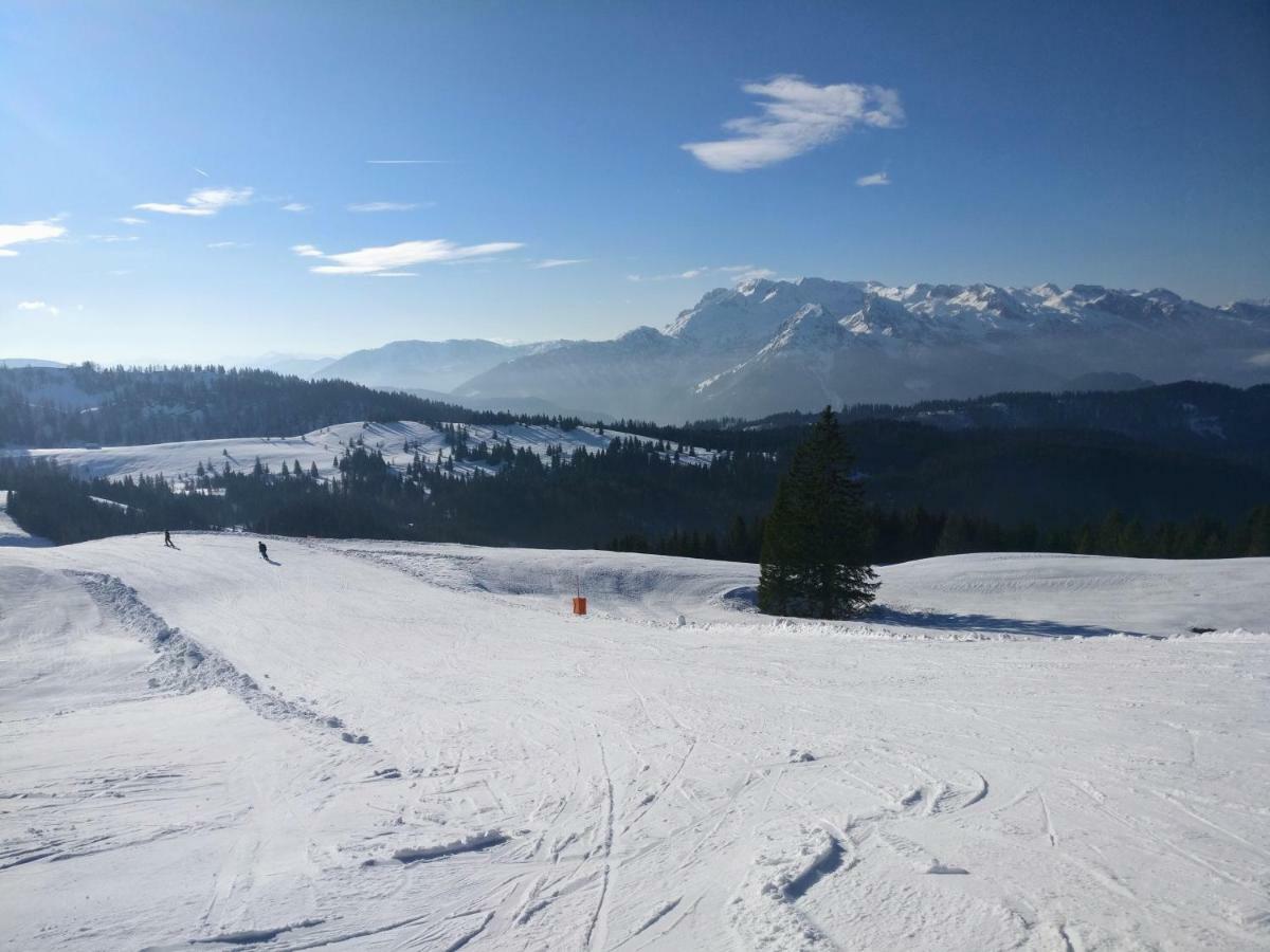 Pension Edelweiss Top 25 Gosau Buitenkant foto