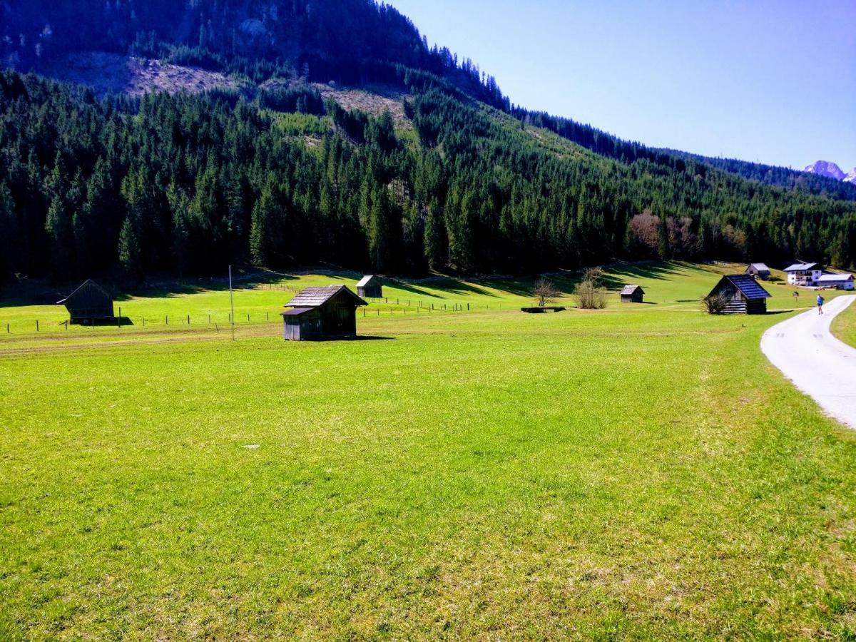 Pension Edelweiss Top 25 Gosau Buitenkant foto