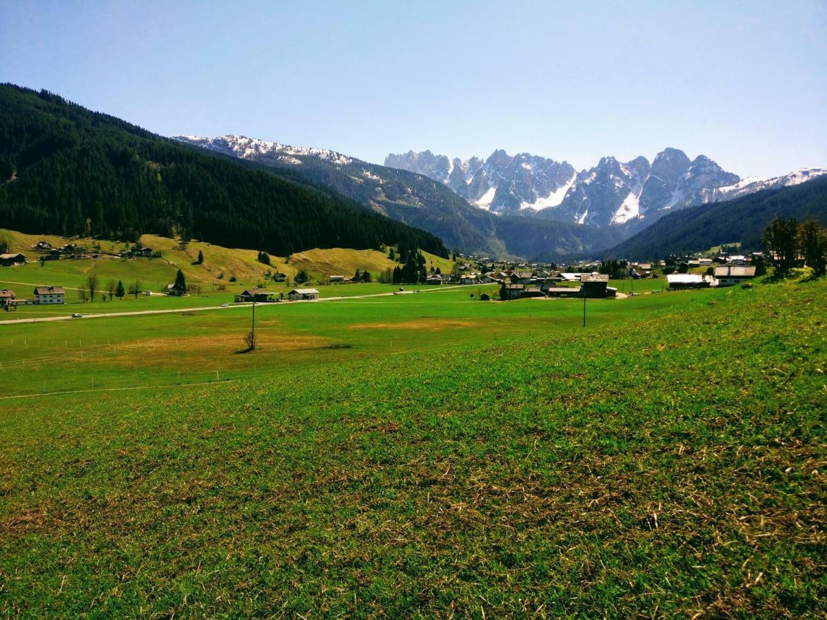 Pension Edelweiss Top 25 Gosau Buitenkant foto