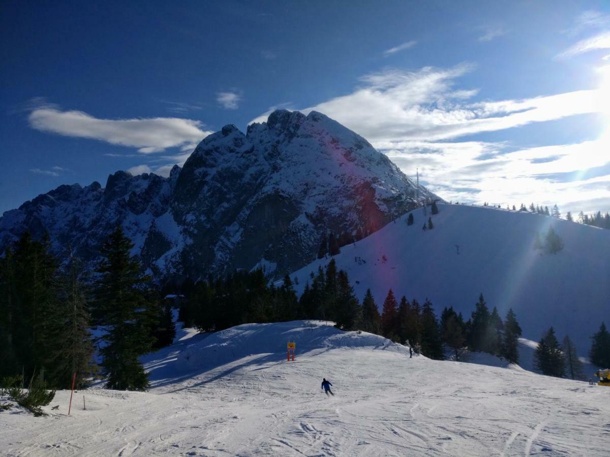Pension Edelweiss Top 25 Gosau Buitenkant foto