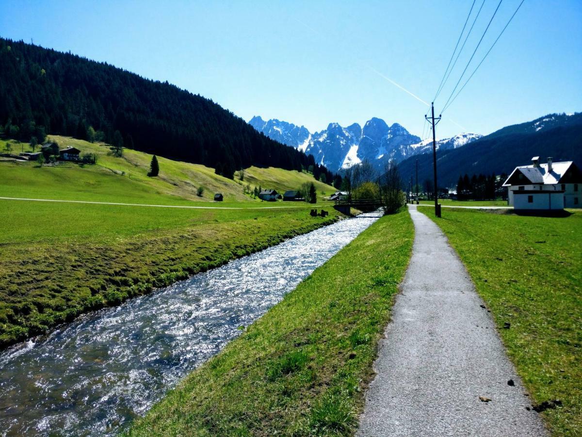 Pension Edelweiss Top 25 Gosau Buitenkant foto