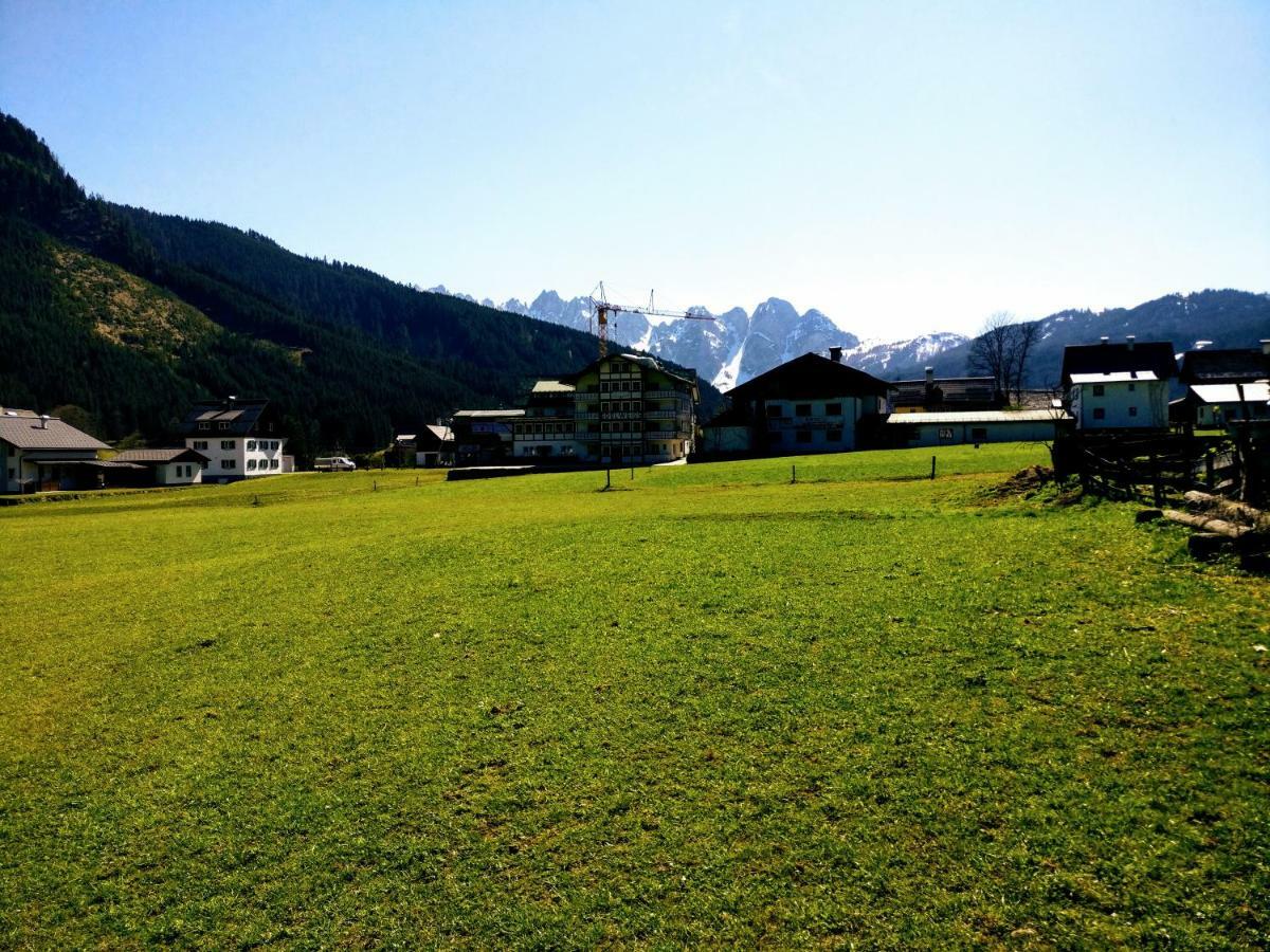 Pension Edelweiss Top 25 Gosau Buitenkant foto