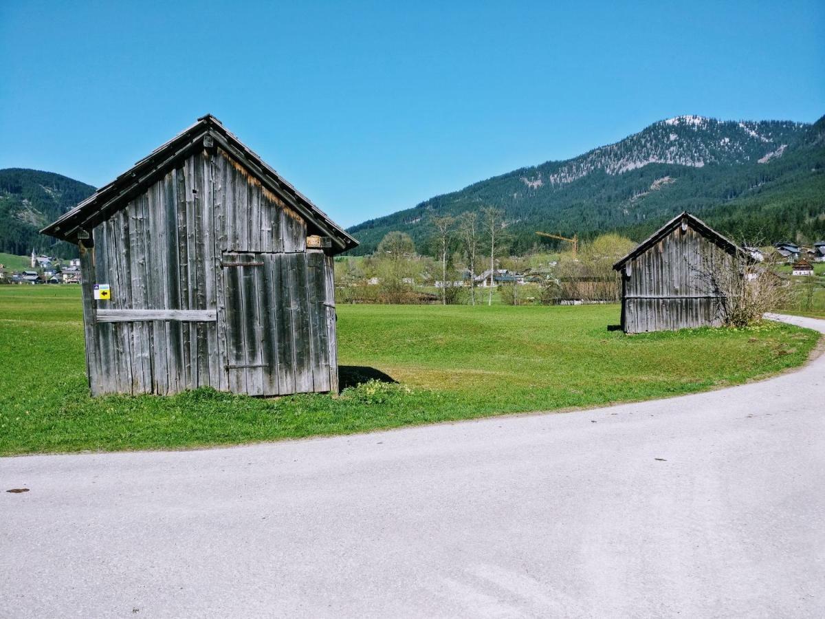 Pension Edelweiss Top 25 Gosau Buitenkant foto