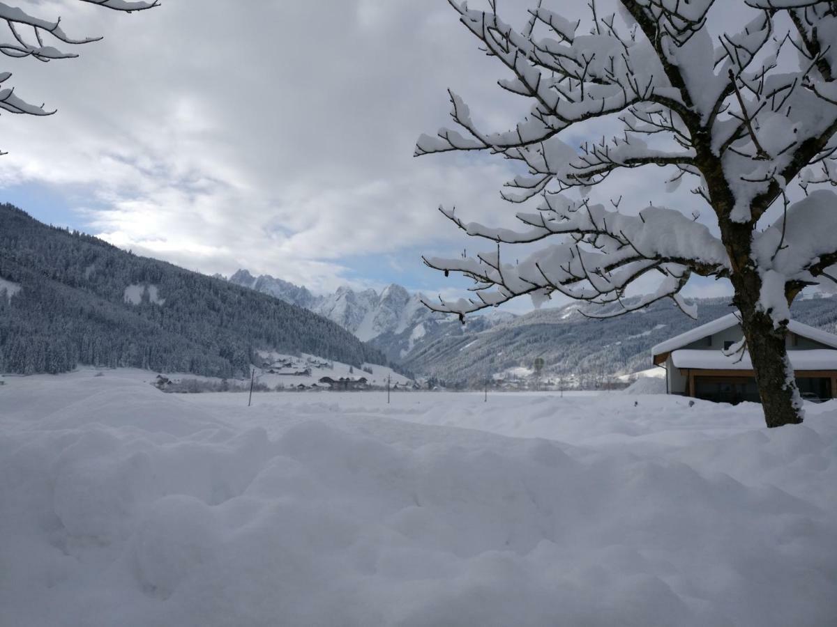 Pension Edelweiss Top 25 Gosau Buitenkant foto