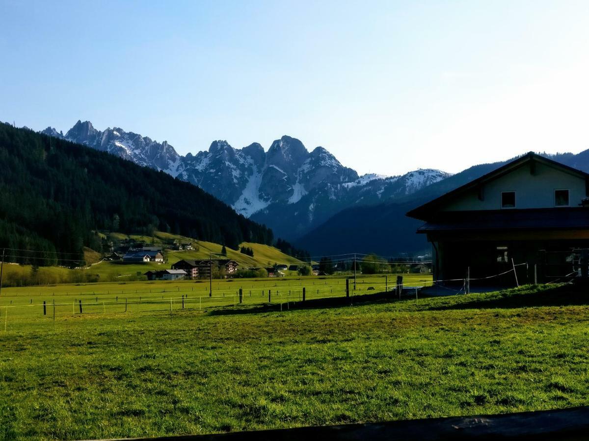 Pension Edelweiss Top 25 Gosau Buitenkant foto