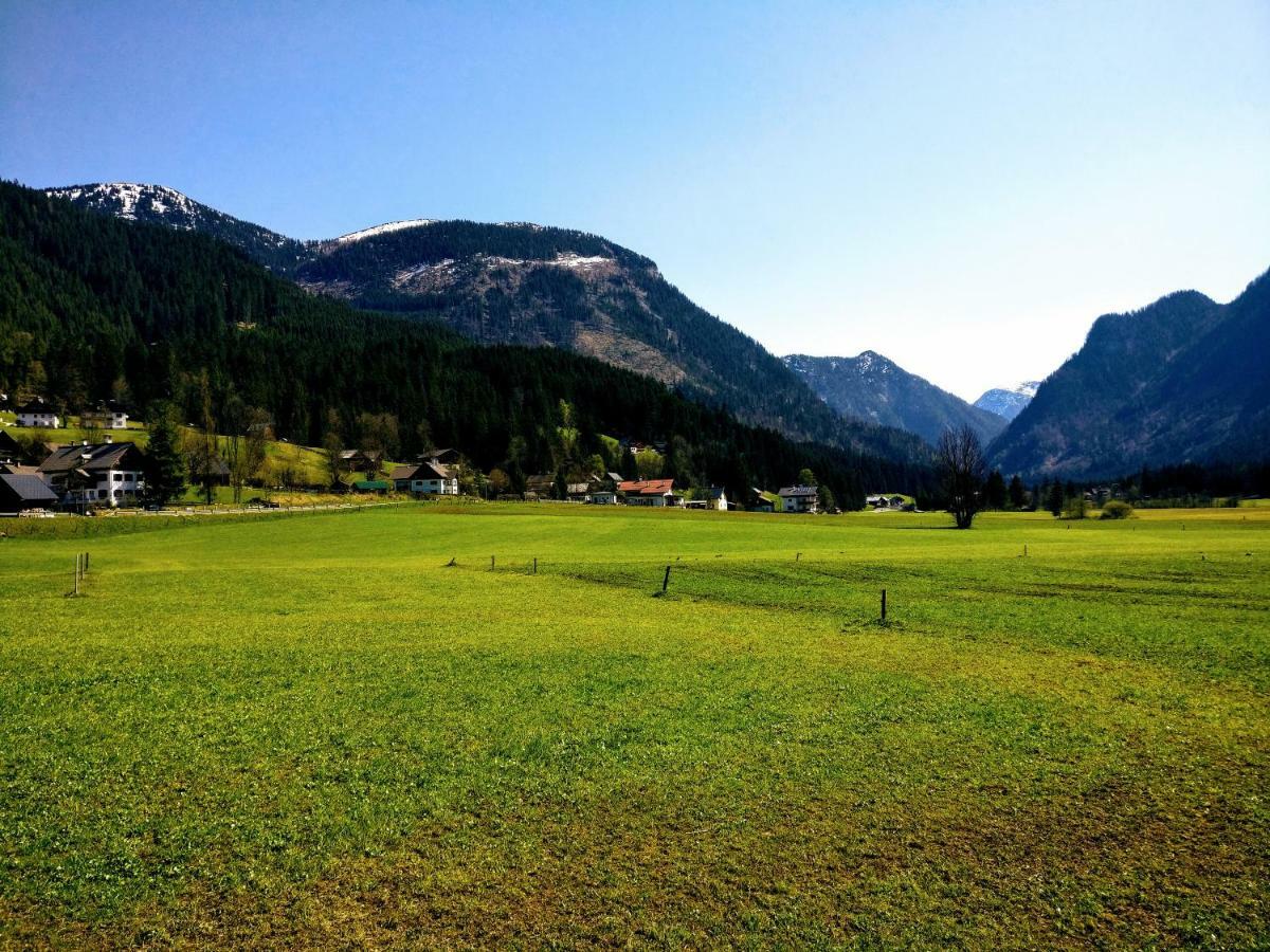 Pension Edelweiss Top 25 Gosau Buitenkant foto