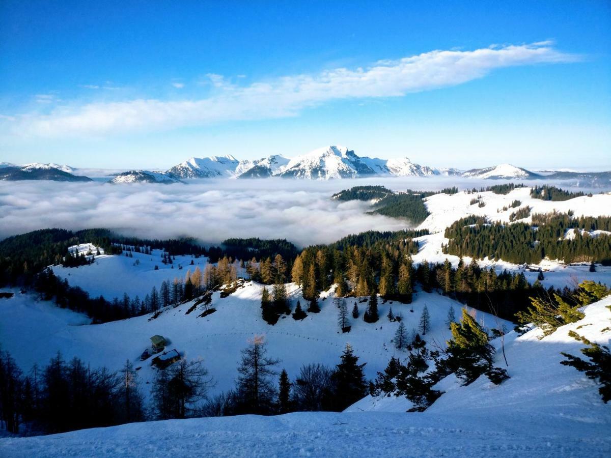 Pension Edelweiss Top 25 Gosau Buitenkant foto