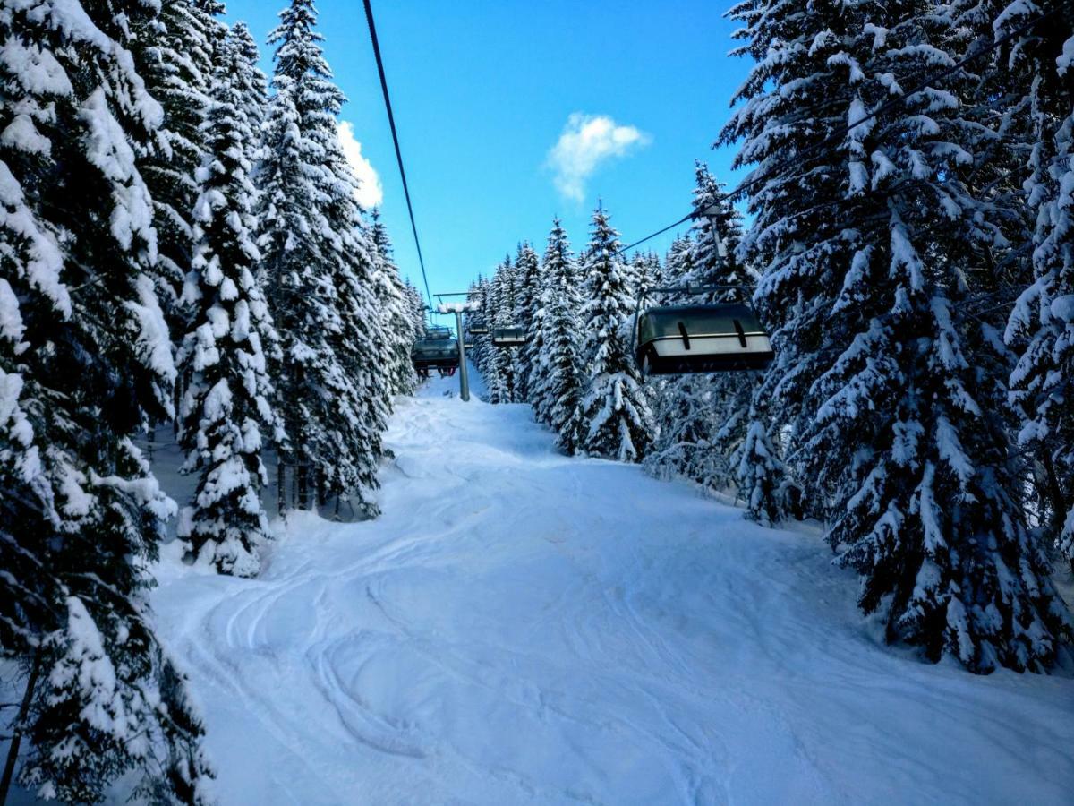 Pension Edelweiss Top 25 Gosau Buitenkant foto