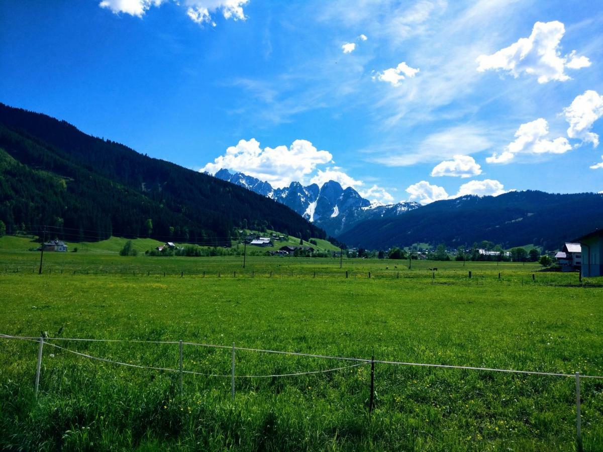 Pension Edelweiss Top 25 Gosau Buitenkant foto