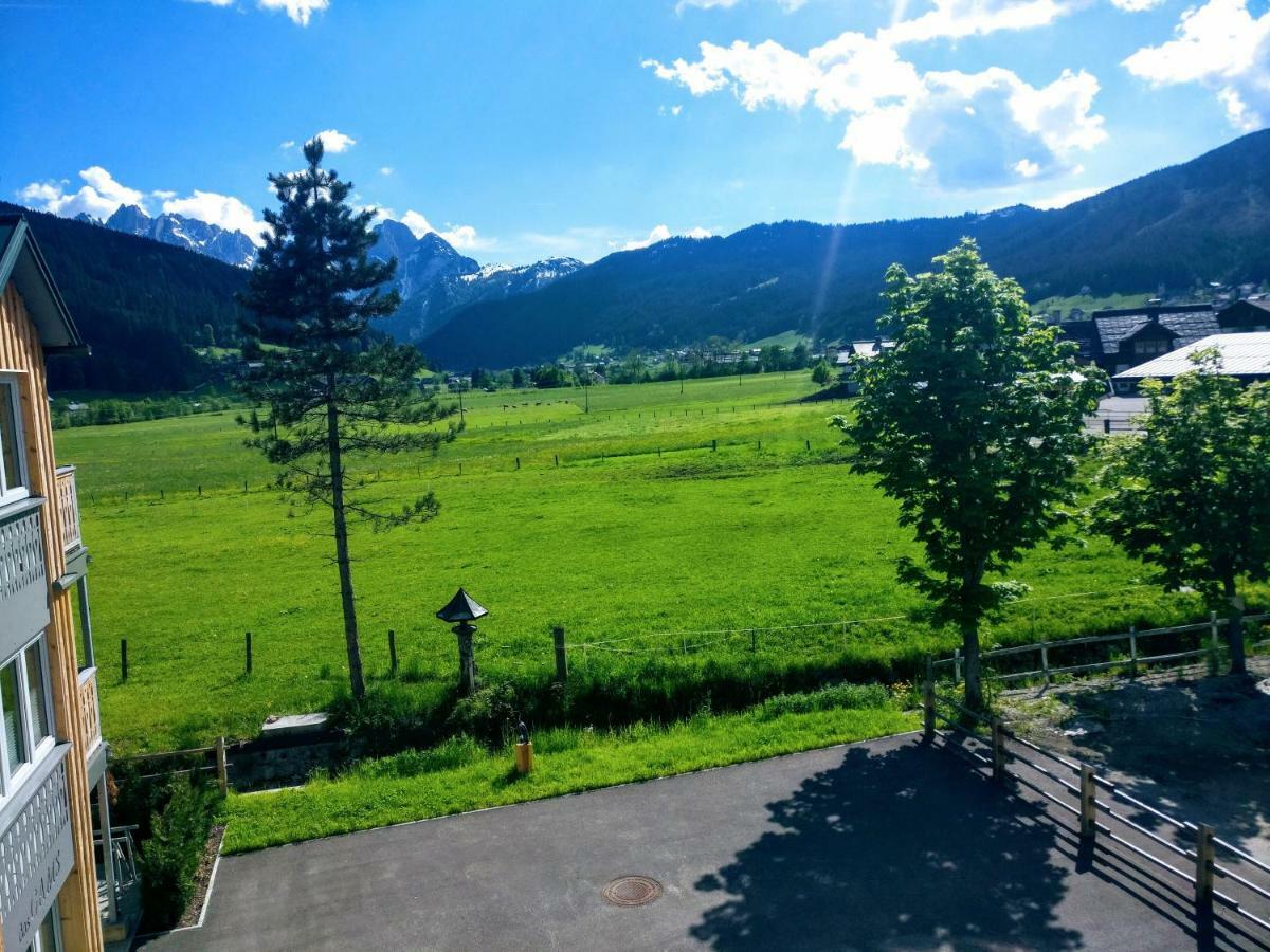 Pension Edelweiss Top 25 Gosau Buitenkant foto
