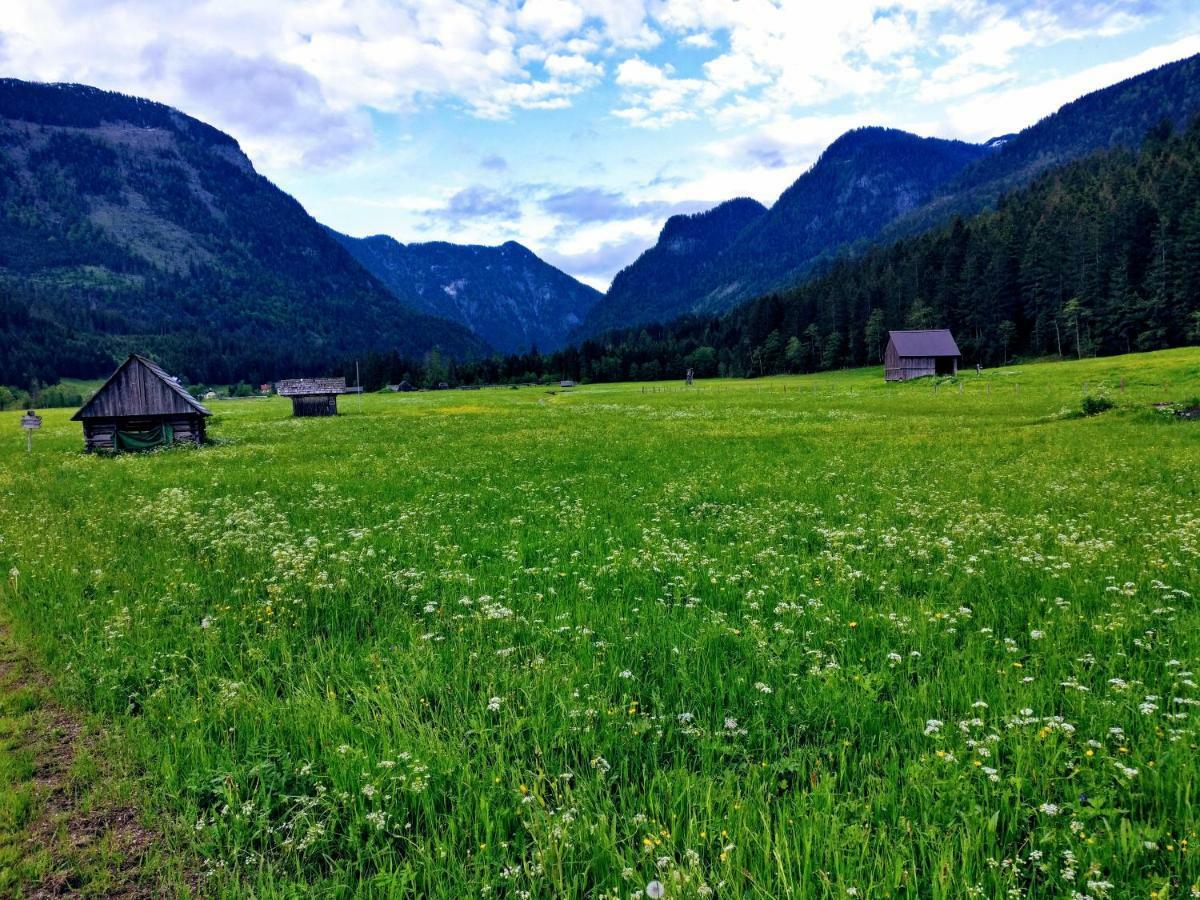 Pension Edelweiss Top 25 Gosau Buitenkant foto